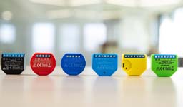 Shelly Switches
